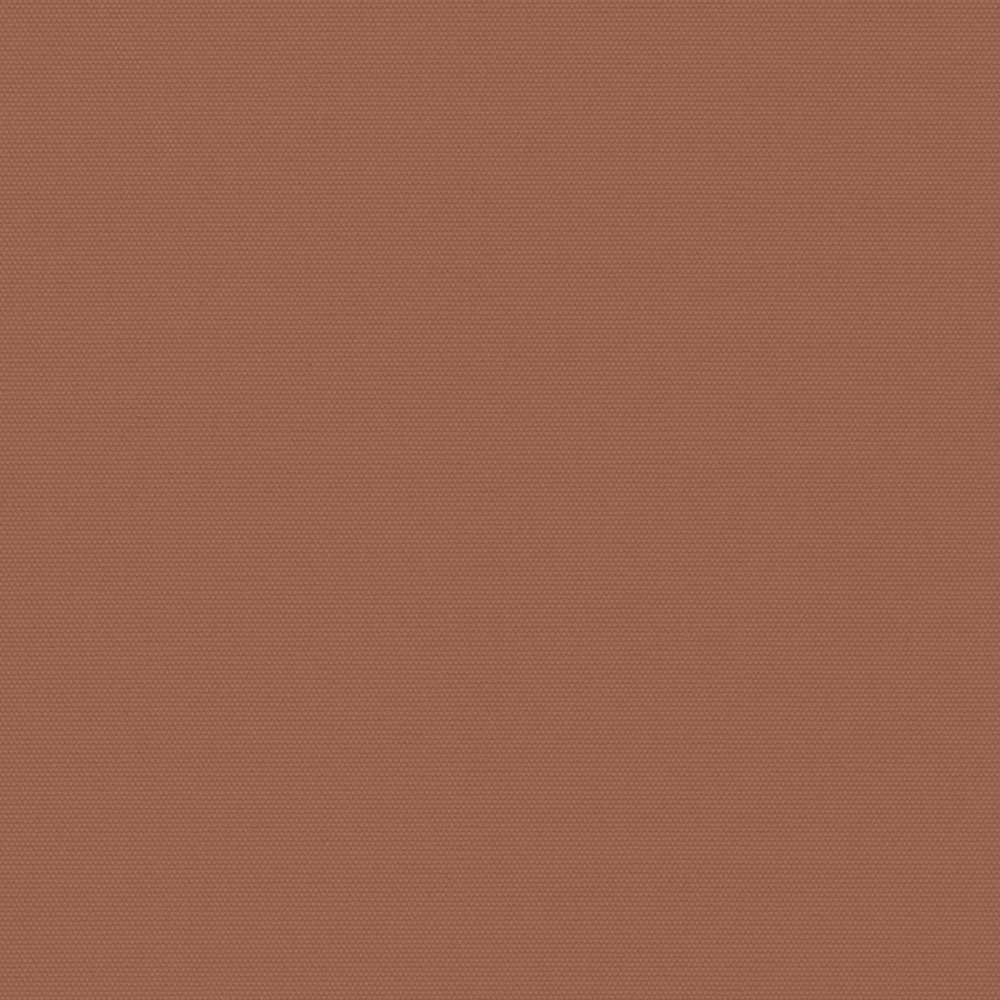 large image